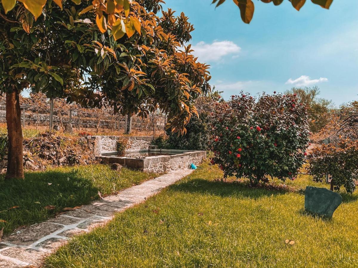 Windmill House Villa Santa Maria da Feira Dış mekan fotoğraf
